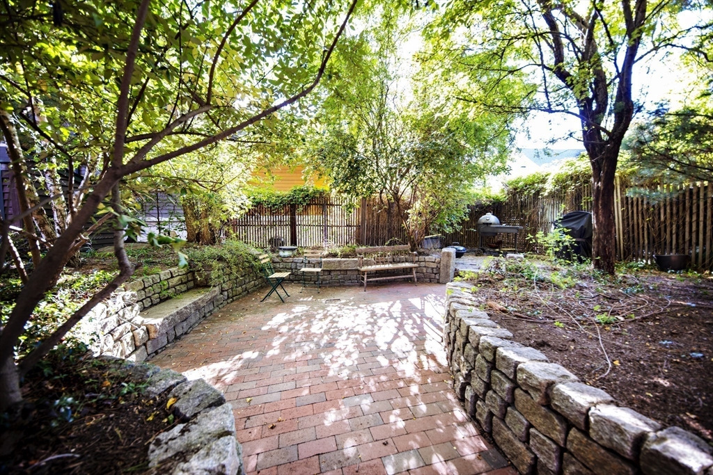 411 Norfolk Street, Unit 1F Somerville, MA 02143 - Photo 15 of 16 a view of backyard with table and chairs and a large tree
