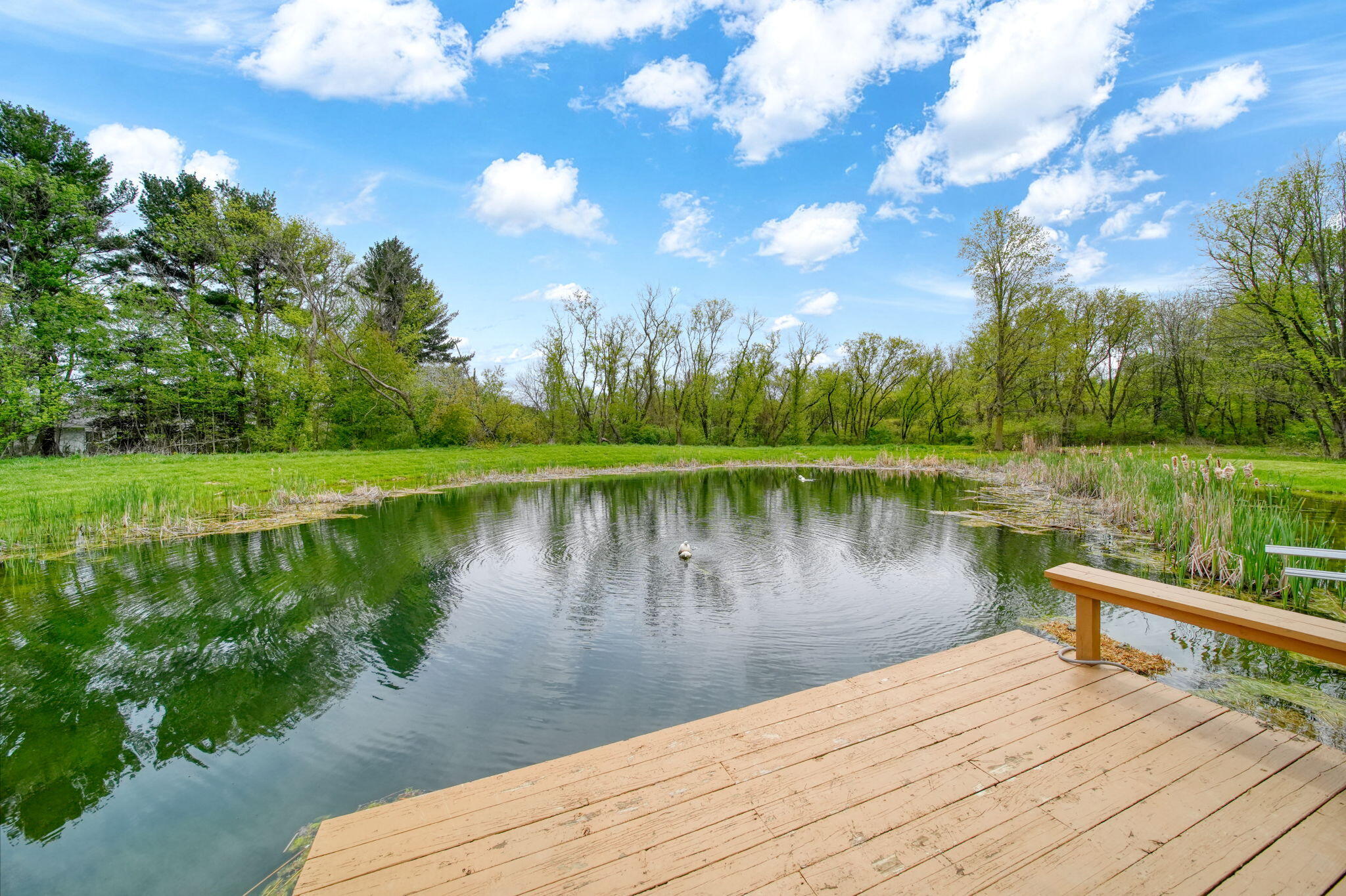 2185 West Barnes Road Leslie, MI 49251 - Photo 53 of 73 52-web-or-mls-DSC05584_HDR