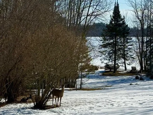 $429,900 | 28654 Grozys Point Road, Pengilly, MN 55775