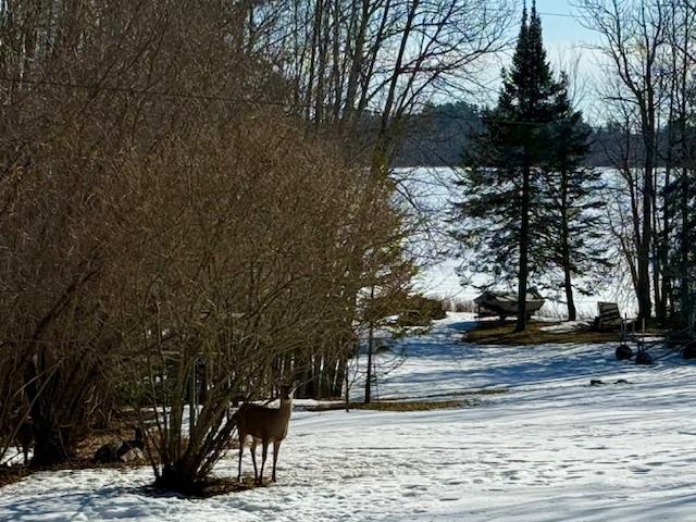 28654 Grozys Point Road Pengilly, MN 55775 - Photo 41 of 47