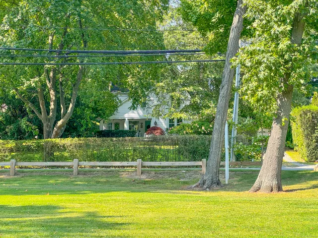 a view of a swimming pool with a garden and plants