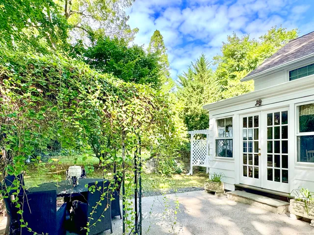 a view of a garden with a tree