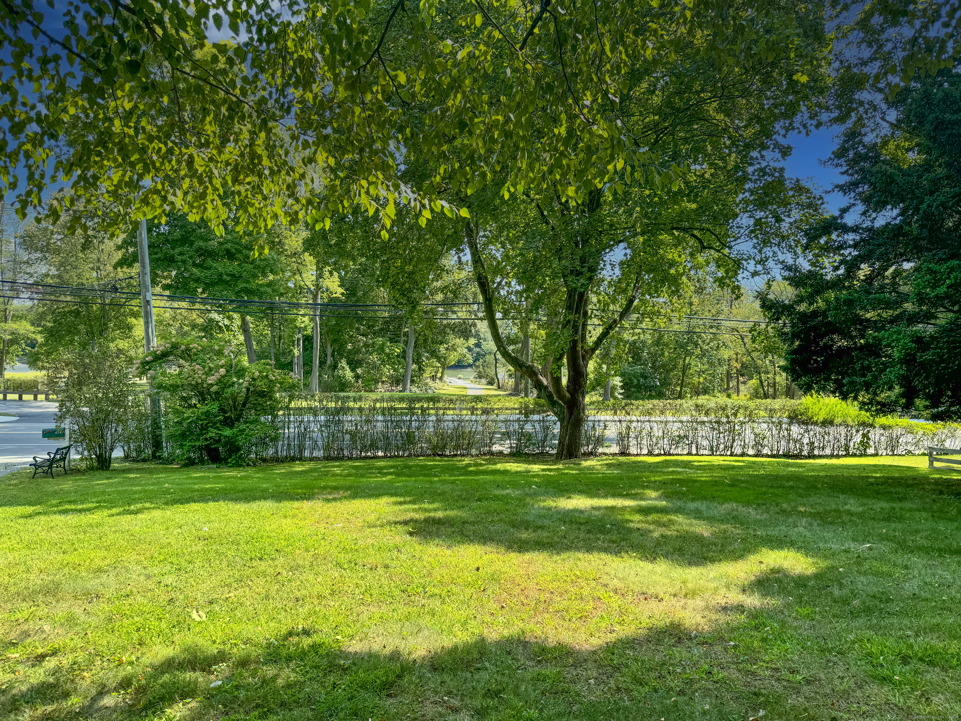 414 Riverside Avenue Westport, CT 06880 - Photo 35 of 40 a view of a park with trees in the background