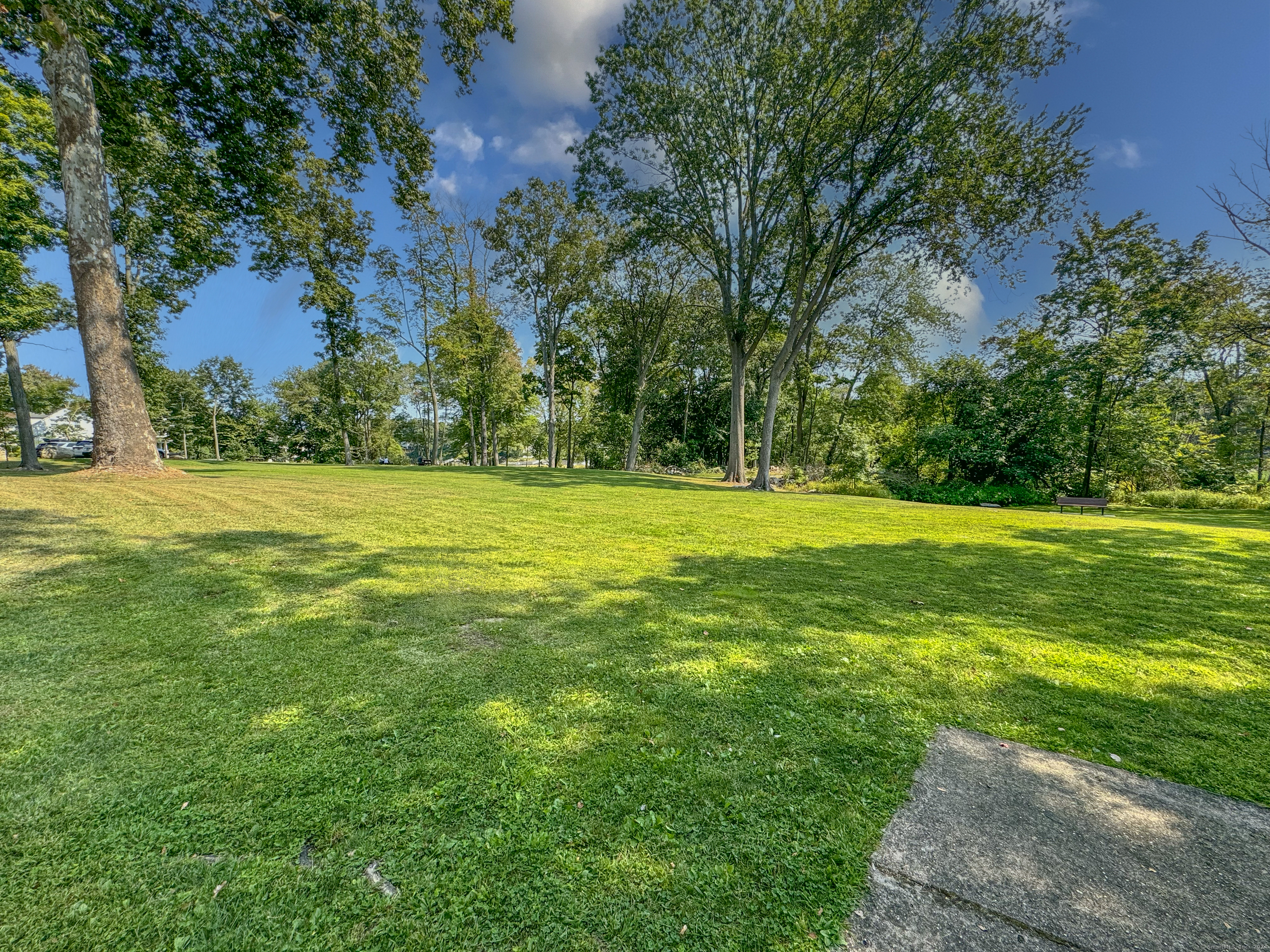 414 Riverside Avenue Westport, CT 06880 - Photo 39 of 40 a view of a big yard with plants and large trees