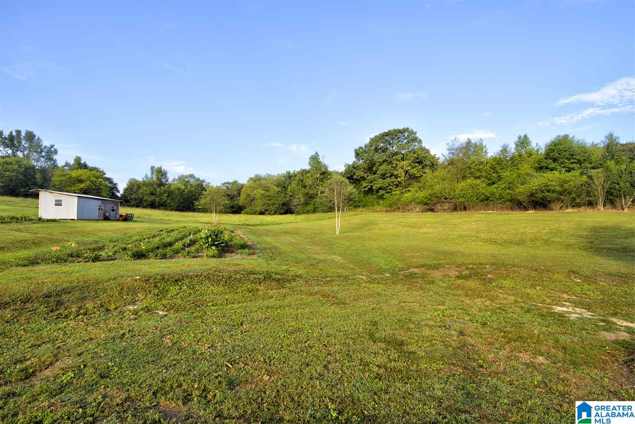 3900 Bud Umphrey Road Altoona, AL 35952 - Photo 8 of 47