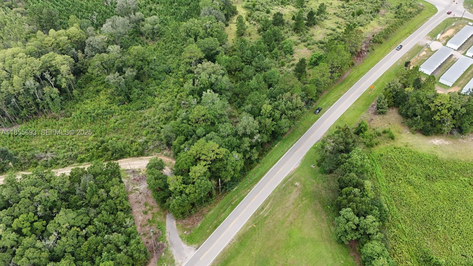 0 Pate Pond Road Caryville, FL 32427 - Photo 12 of 12 Gallery Image 12
