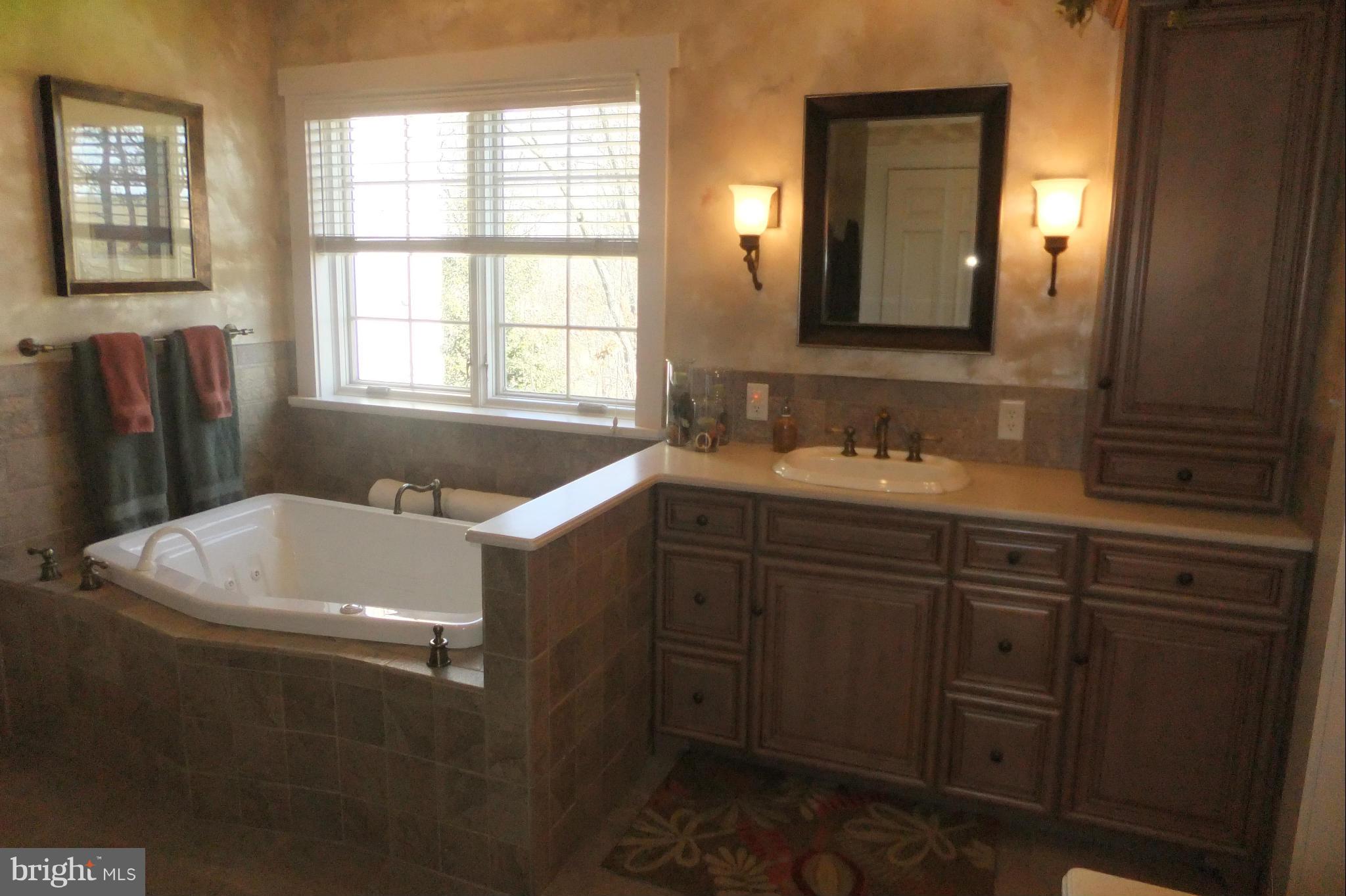 6700 Guitner Road Greencastle, PA 17225 - Photo 21 of 30 Bath (Master)