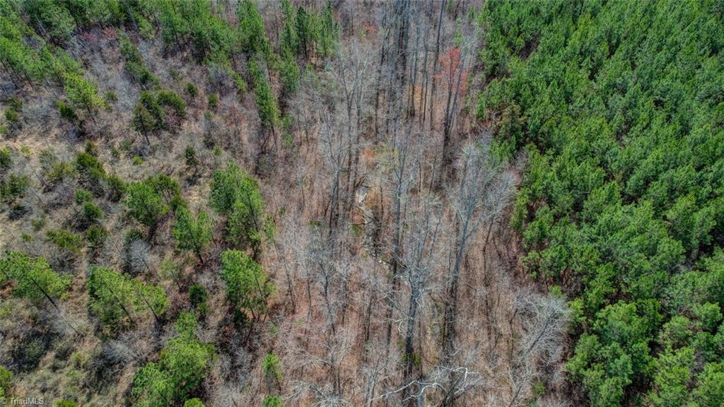 6712 Blanch Road Blanch, NC 27212 - Photo 18 of 21 Gallery Image 18