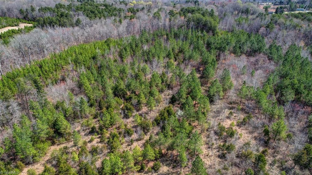 6712 Blanch Road Blanch, NC 27212 - Photo 20 of 21 Gallery Image 20
