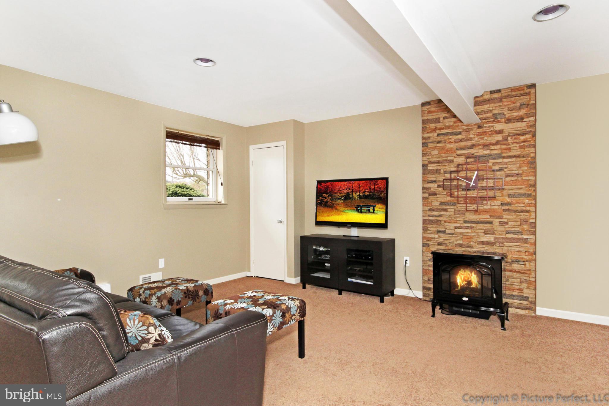 1003 Horizon Road Mount Airy, MD 21771 - Photo 19 of 30 Basement