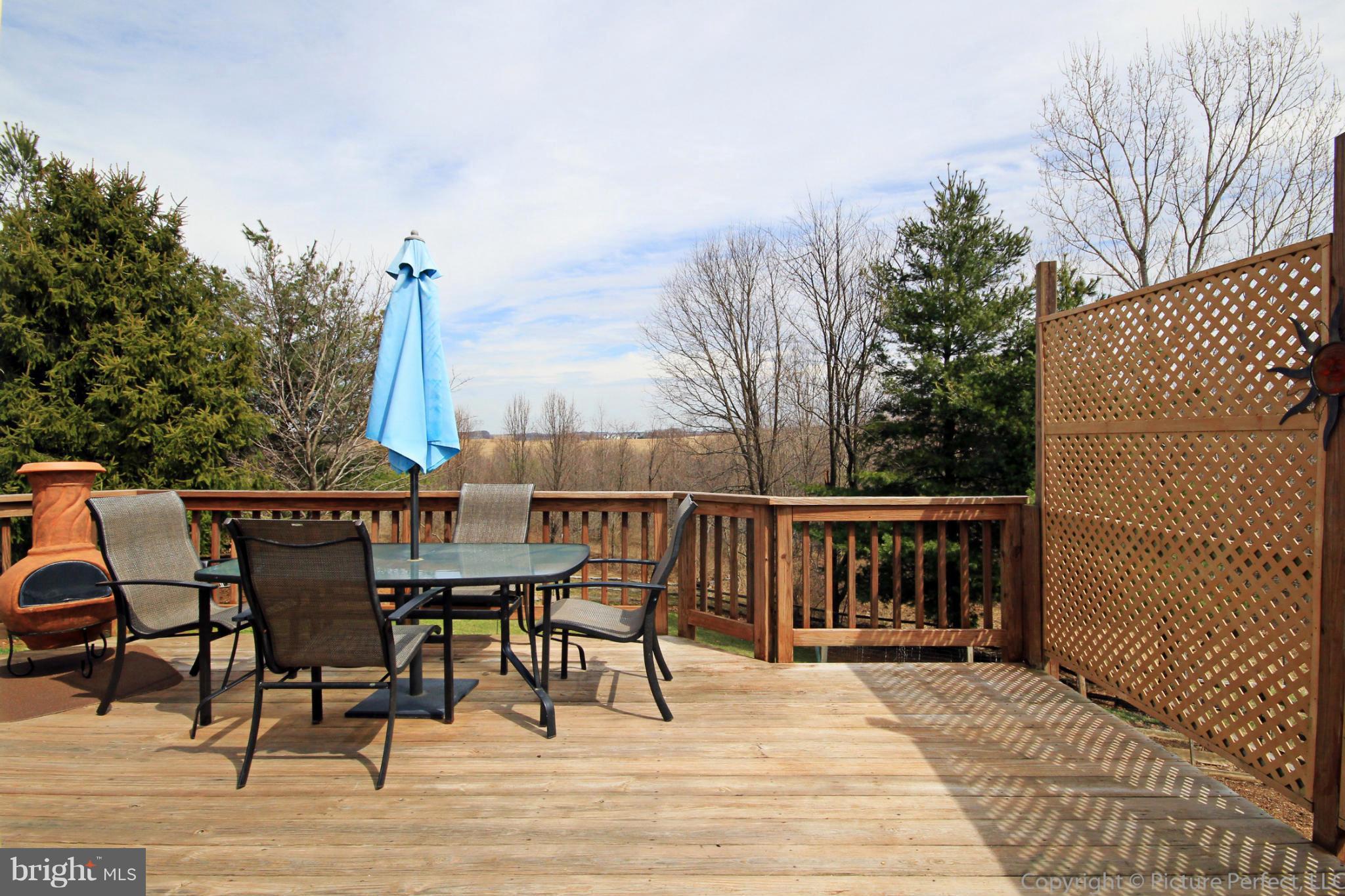 1003 Horizon Road Mount Airy, MD 21771 - Photo 25 of 30 Deck