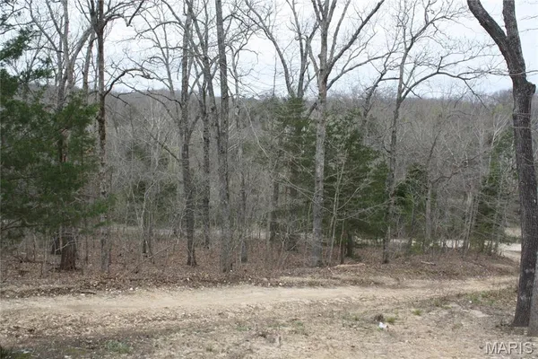 $7,500 | 0 Canyon Lane, Dittmer, MO 63023