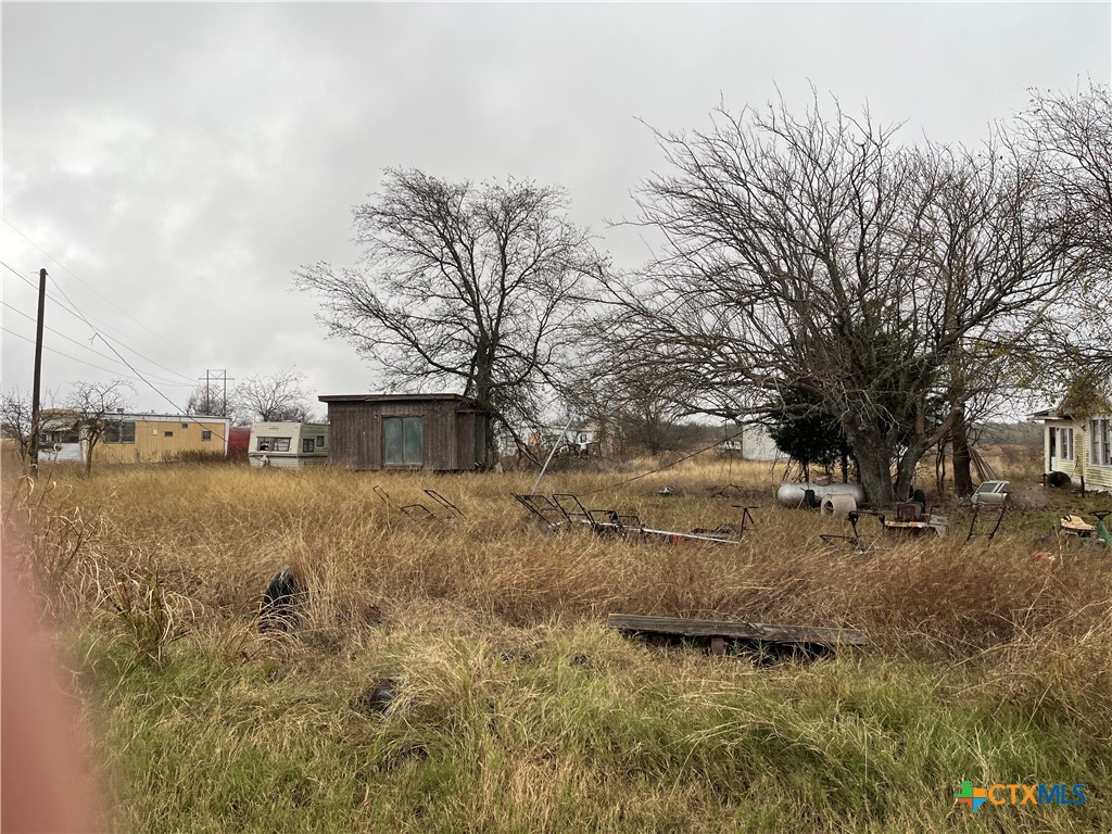 2556 Luther Curtis Road Troy, TX 76579 - Photo 4 of 5 a view of a dry yard with trees