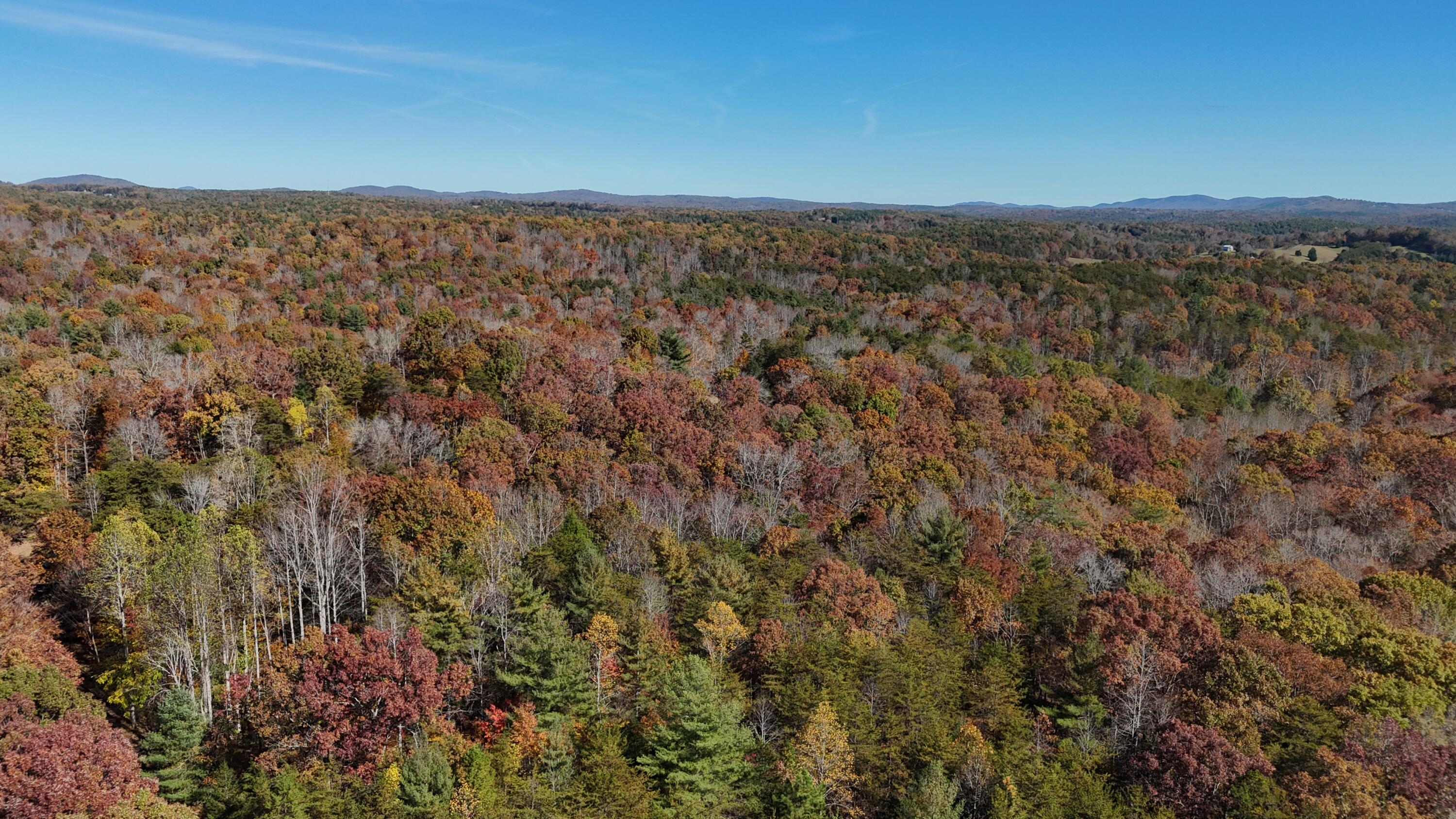 0 Knob Church Road Henry, VA 24102 - Photo 11 of 12