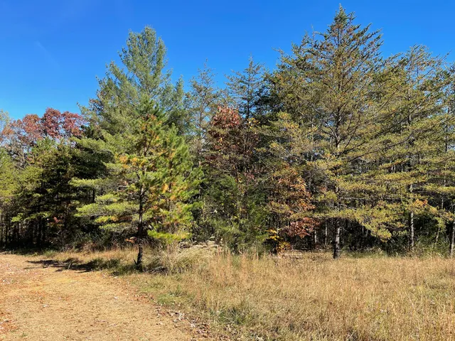 a view of a covered with snow in between of house