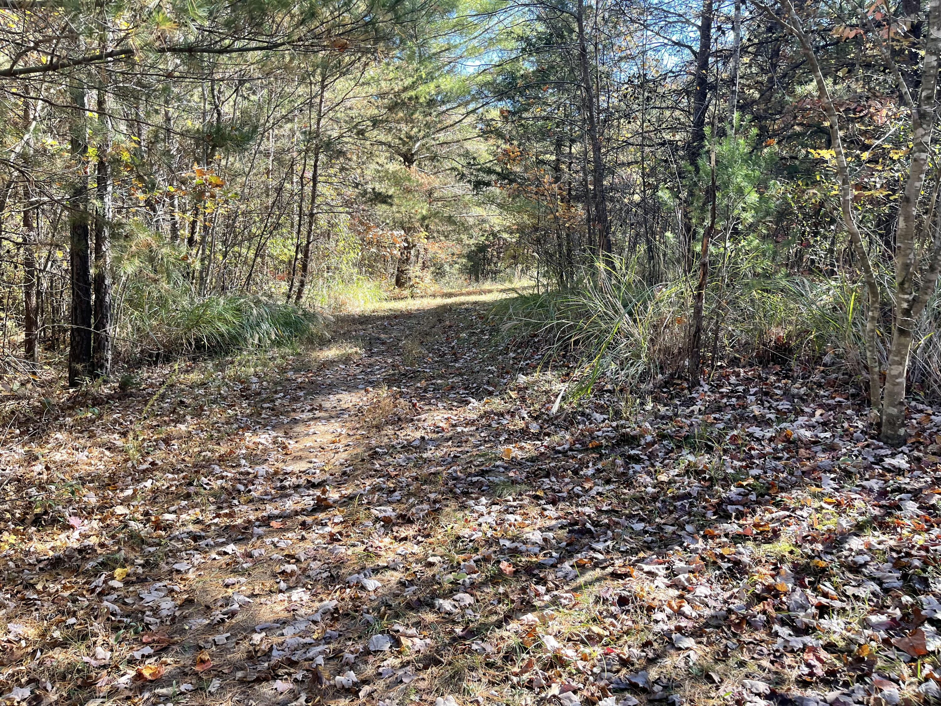 0 Knob Church Road Henry, VA 24102 - Photo 6 of 12 a big yard with lots of green space and trees