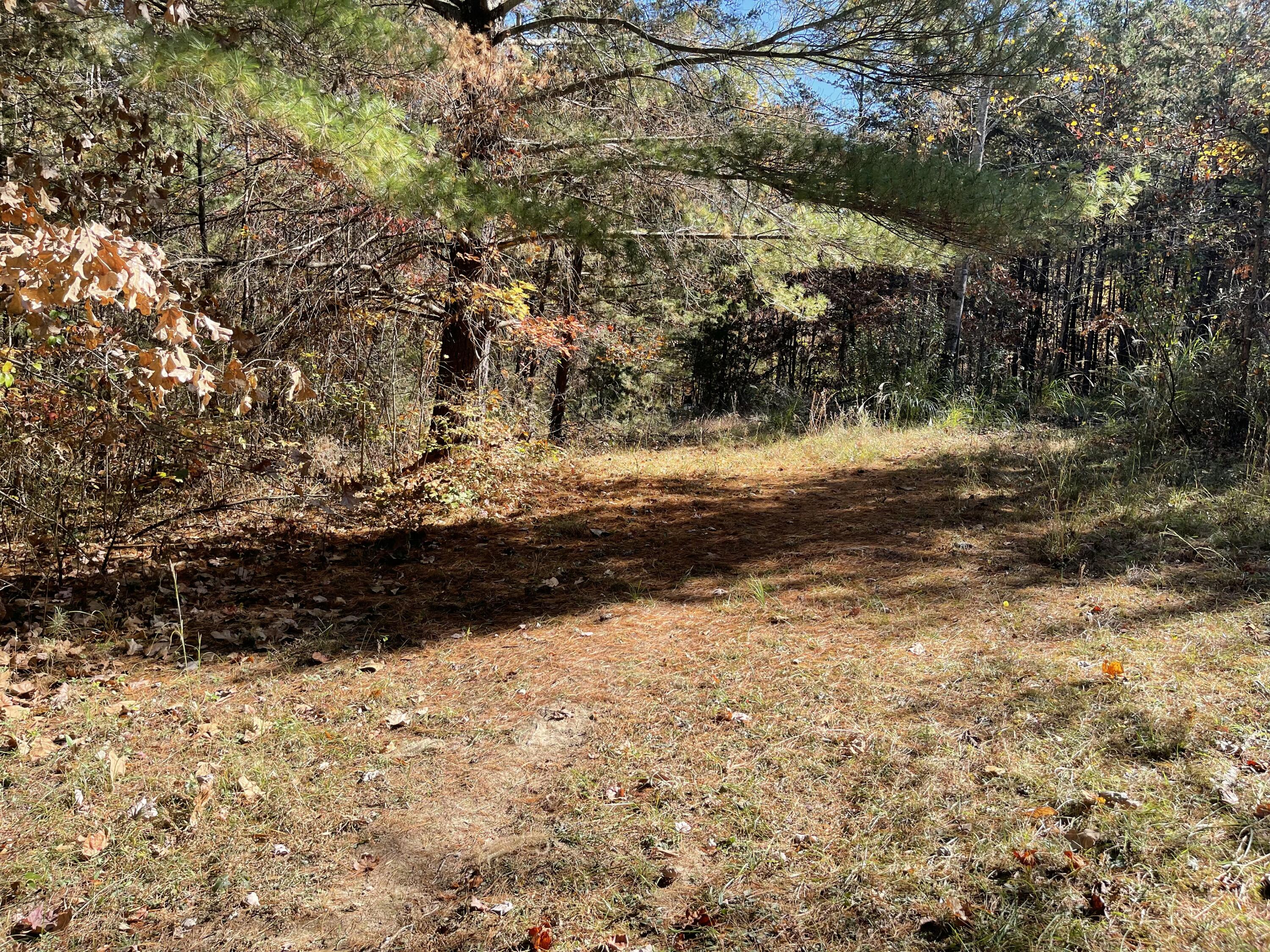 0 Knob Church Road Henry, VA 24102 - Photo 7 of 12 a view of a yard with trees