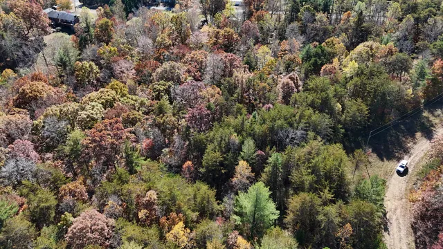 a view of a house in a forest