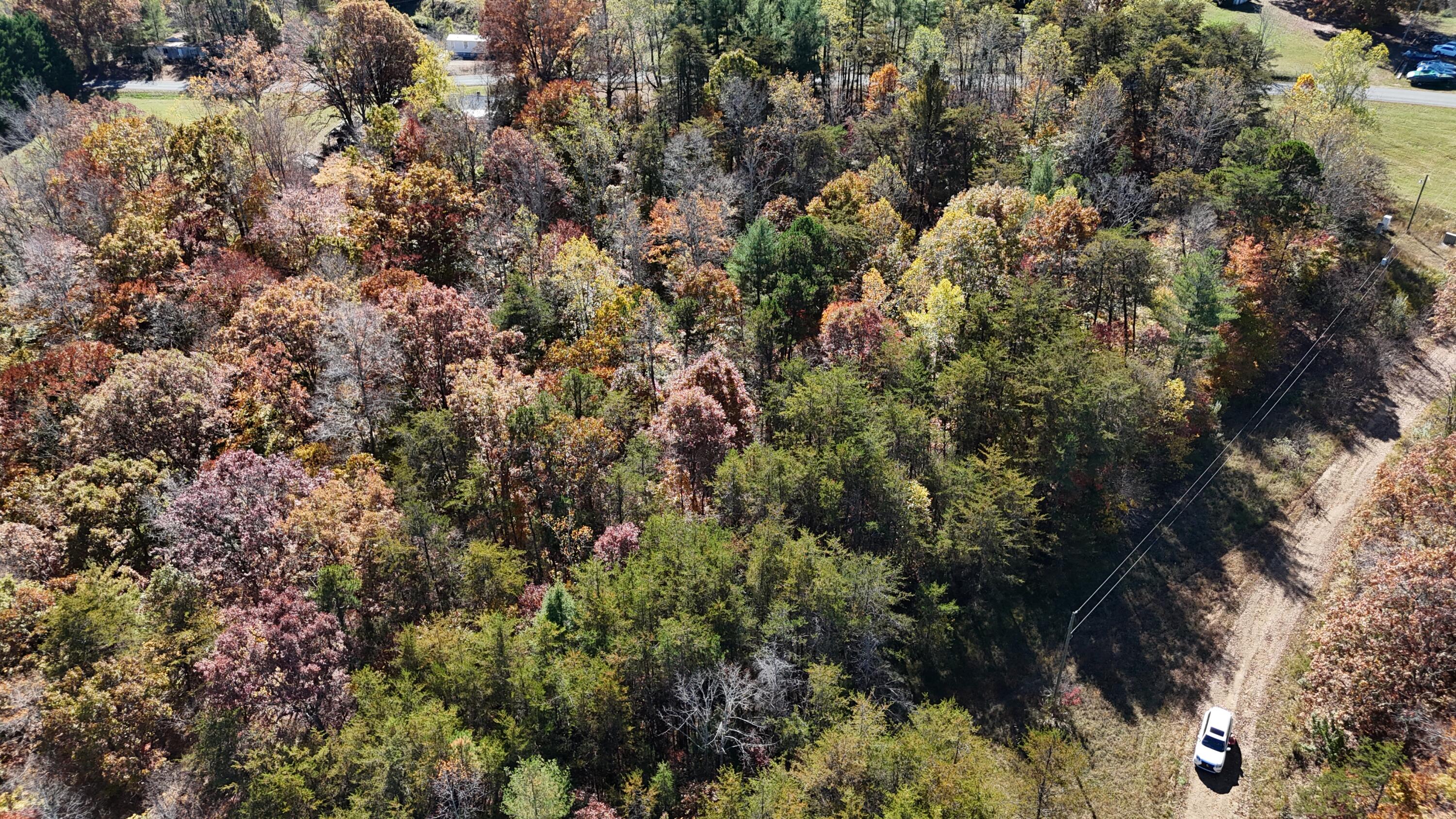 0 Knob Church Road Henry, VA 24102 - Photo 10 of 12 a view of a house in a forest