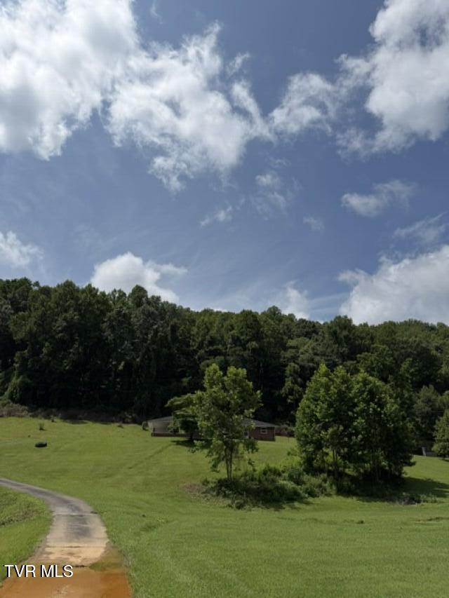 1347 Manville Road Gate City, VA 24251 - Photo 5 of 28 IMG_0277 (Custom)