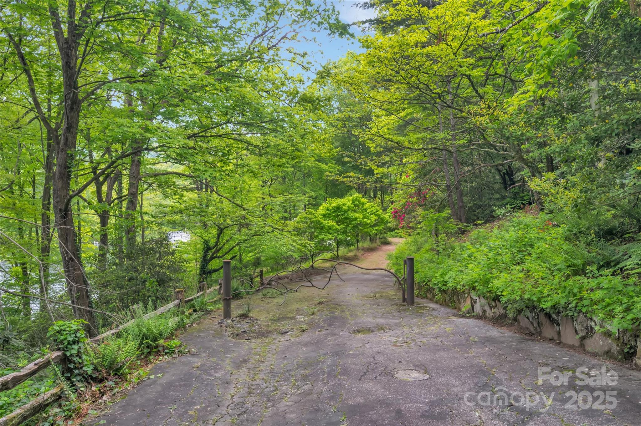 1923 Cold Mountain Road Lake Toxaway, NC 28747 - Photo 2 of 5 a view of a forest with trees in the background