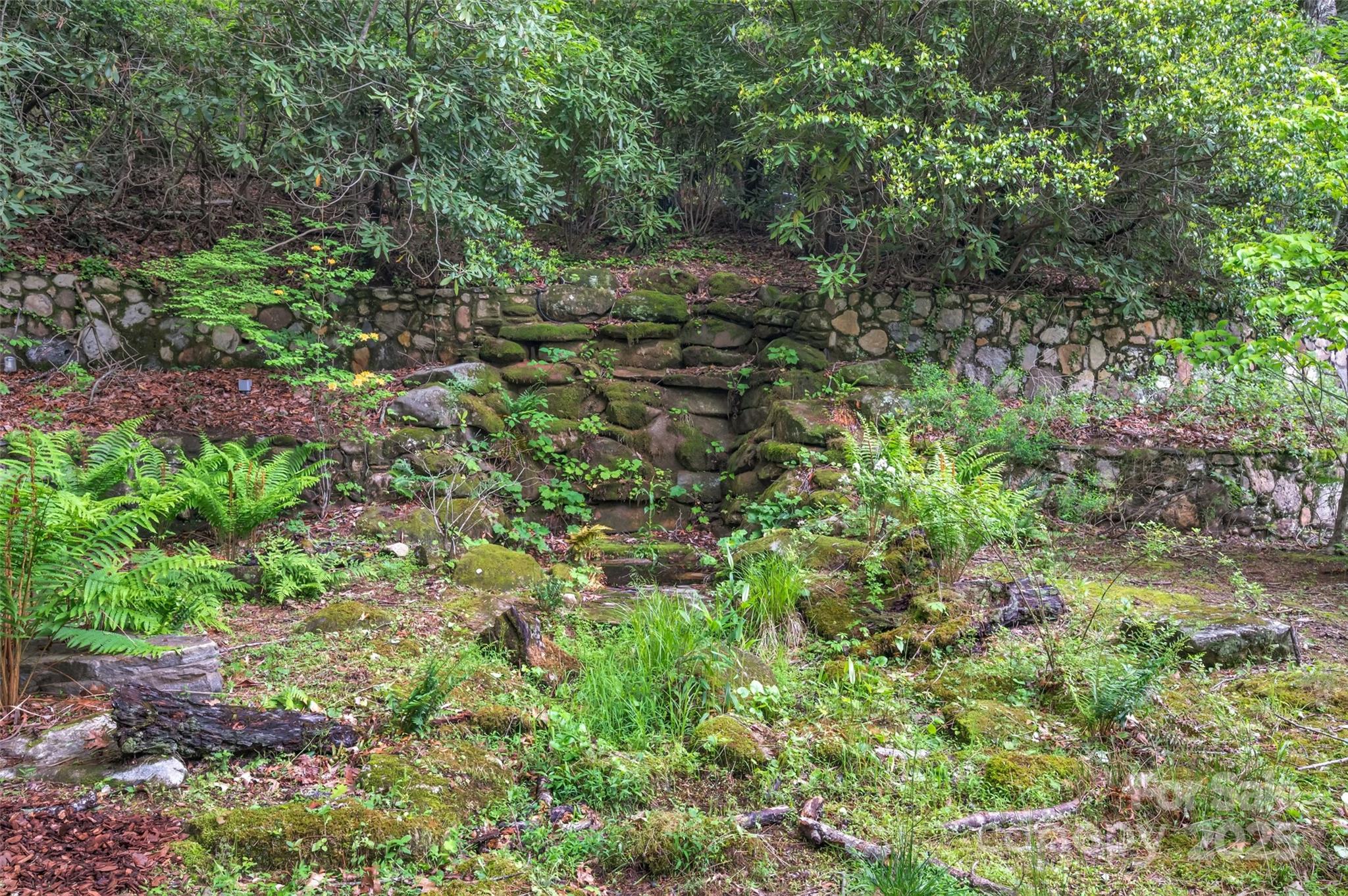1923 Cold Mountain Road Lake Toxaway, NC 28747 - Photo 3 of 5 a view of a garden with a tree
