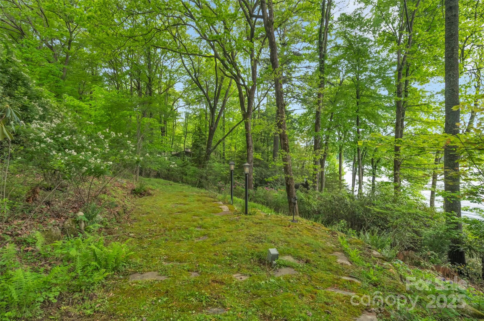 1923 Cold Mountain Road Lake Toxaway, NC 28747 - Photo 4 of 5 a big yard with lots of green space and deers