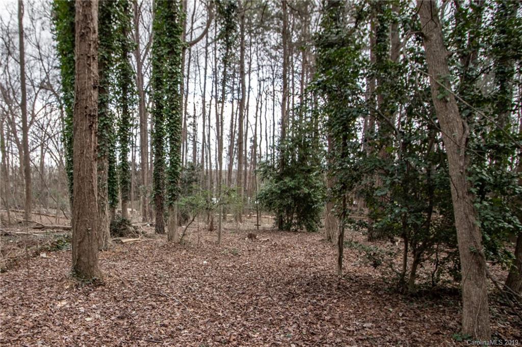 6332 Round Hill Road, Unit 1 Charlotte, NC 28211 - Photo 19 of 19 Gallery Image 19