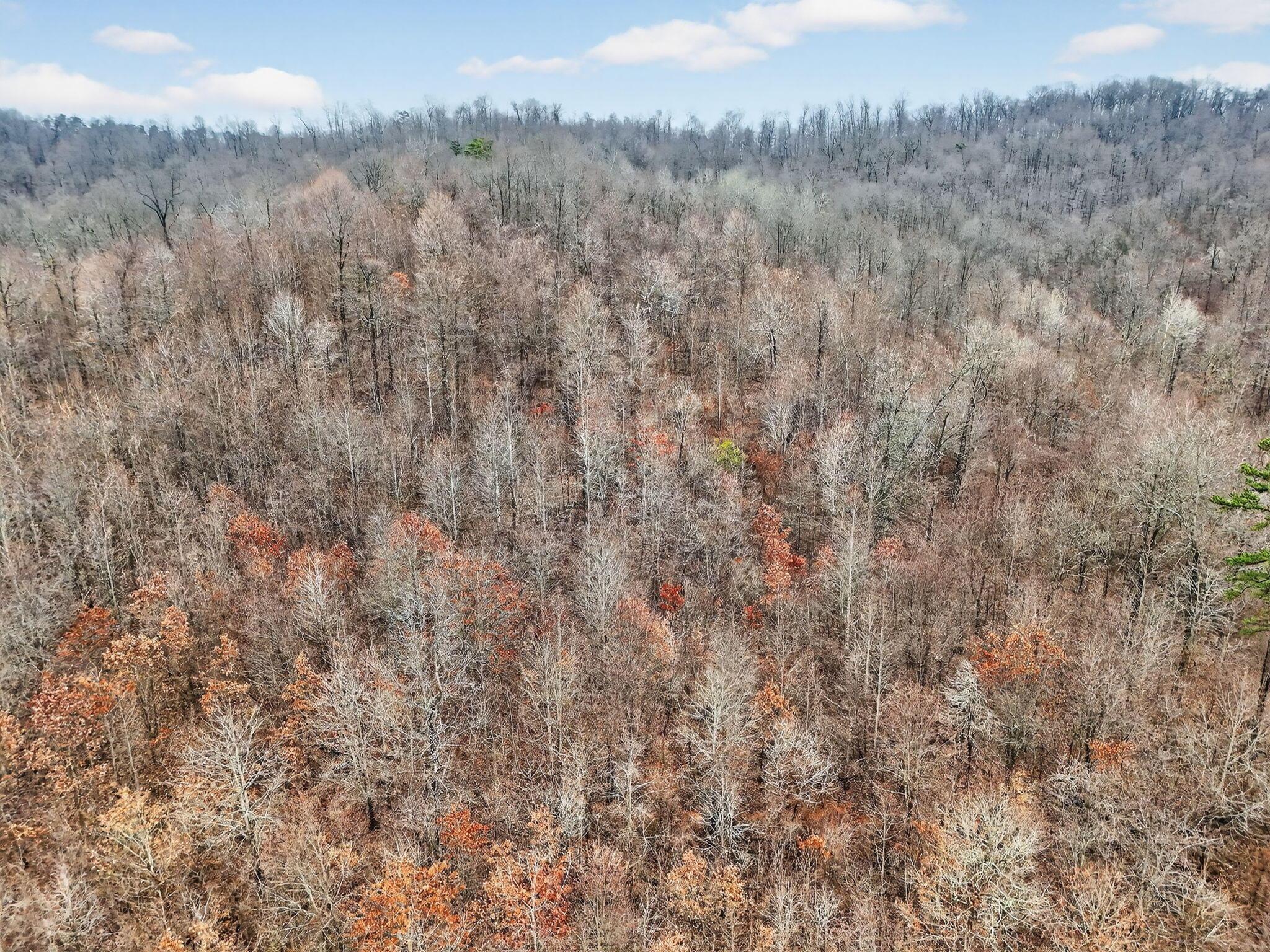 14442 Jack Run Road Rockbridge, OH 43149 - Photo 33 of 33 14440 Jack Run Land (Drone)-25