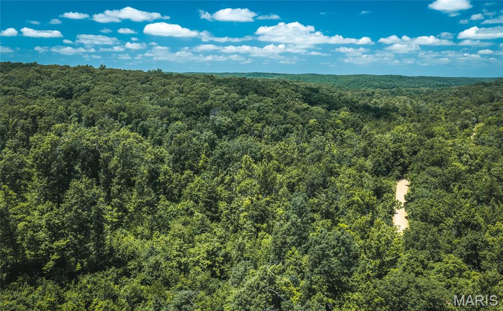 0 Czar Tower Road Steelville, MO 65565 - Photo 19 of 19