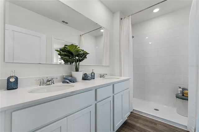 a bathroom with a sink a shower and a mirror