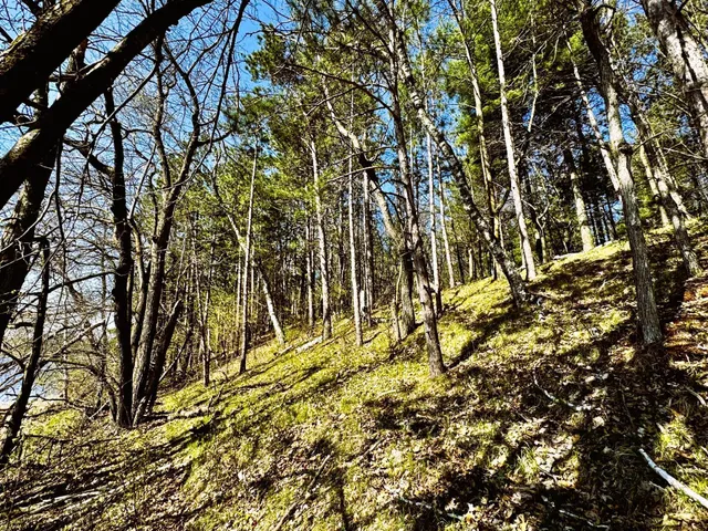 $325,000 | Tbd Rognaldson Road, Brainerd, MN 56401