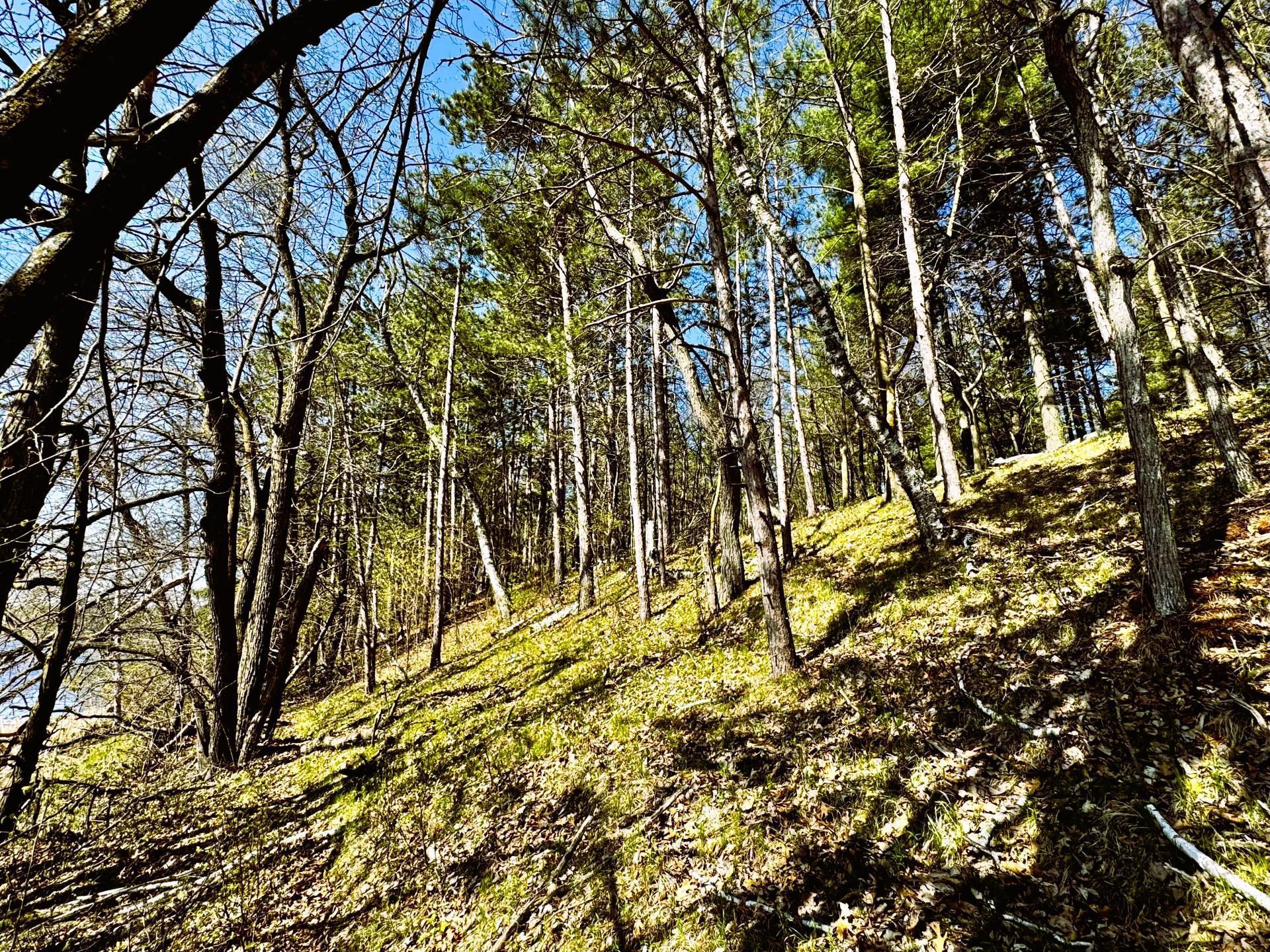 Tbd Rognaldson Road Brainerd, MN 56401 - Photo 11 of 15