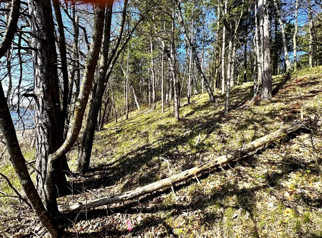 $325,000 | Tbd Rognaldson Road, Brainerd, MN 56401