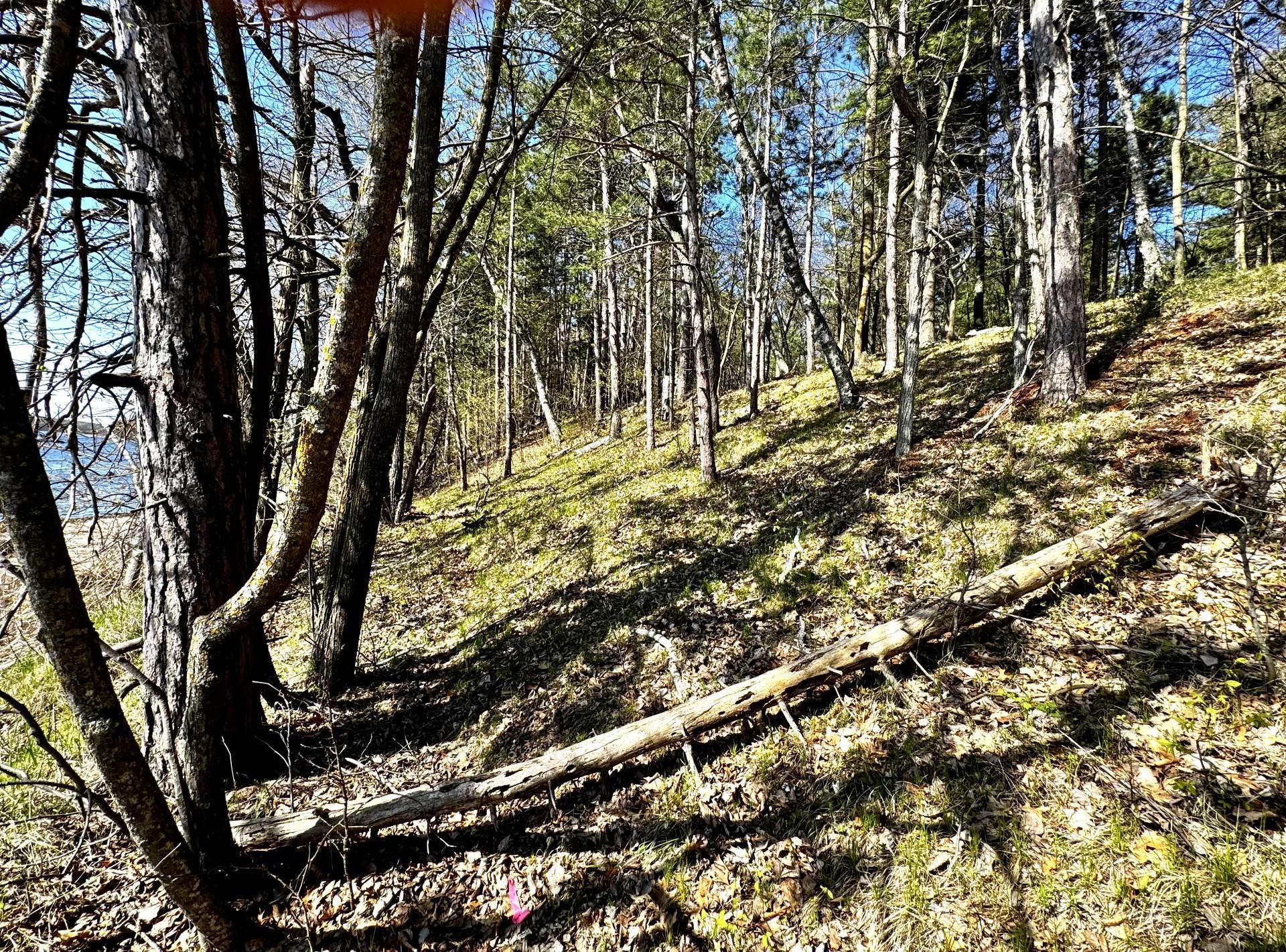 Tbd Rognaldson Road Brainerd, MN 56401 - Photo 12 of 15