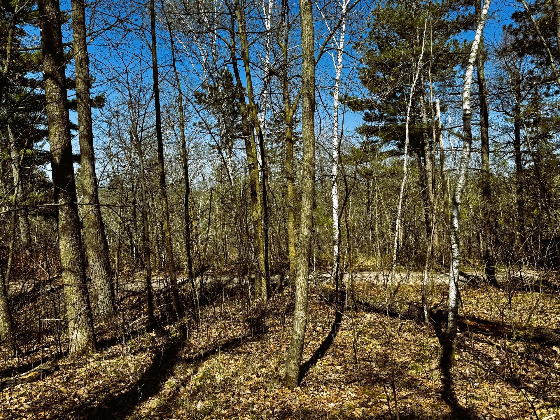 Tbd Rognaldson Road Brainerd, MN 56401 - Photo 13 of 15