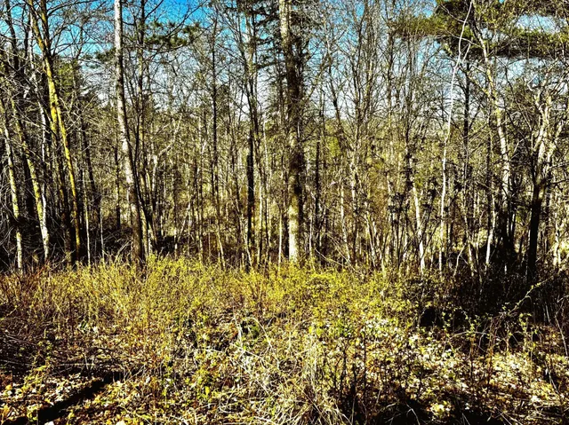 $325,000 | Tbd Rognaldson Road, Brainerd, MN 56401