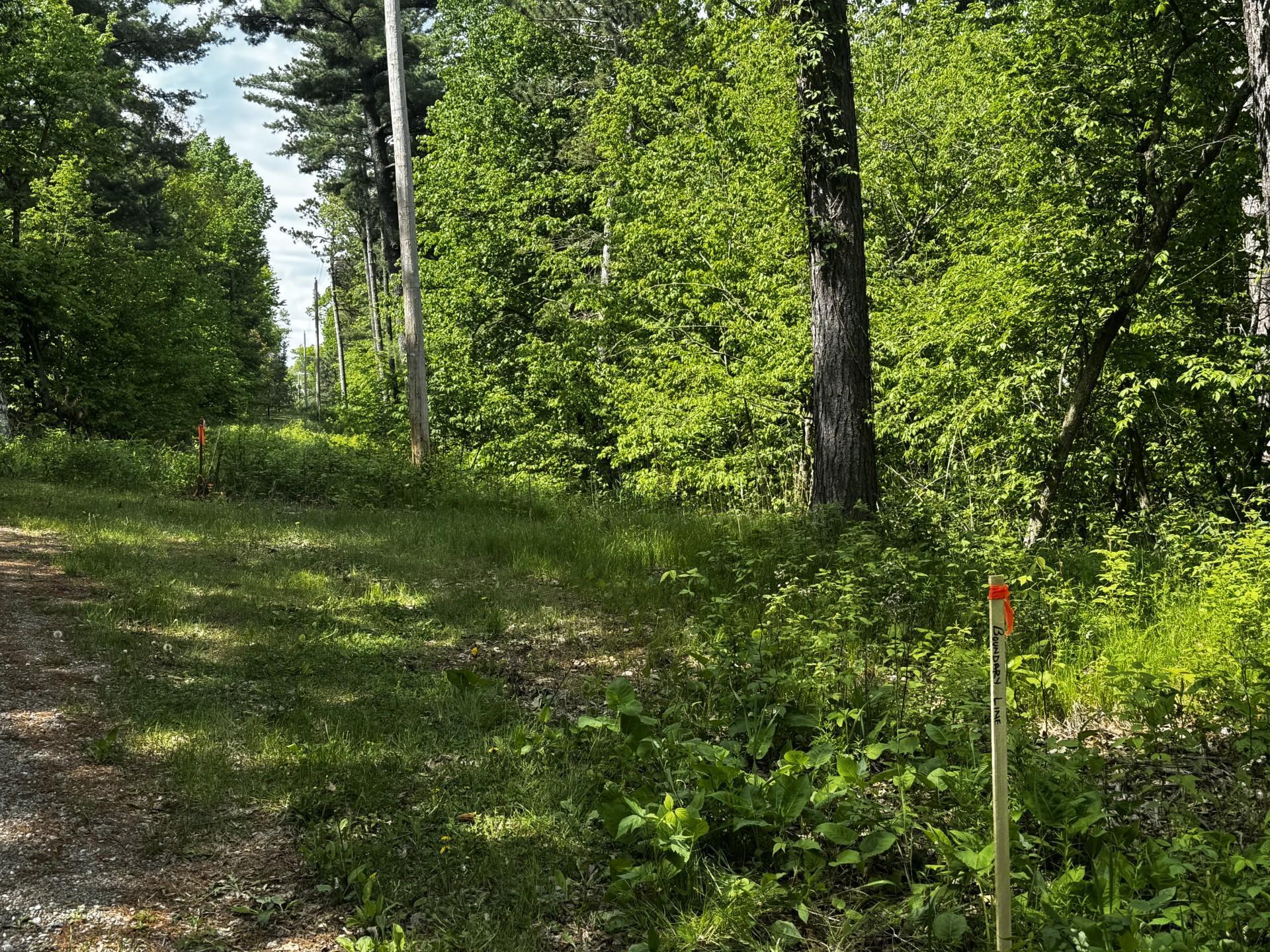 Tbd Rognaldson Road Brainerd, MN 56401 - Photo 15 of 15