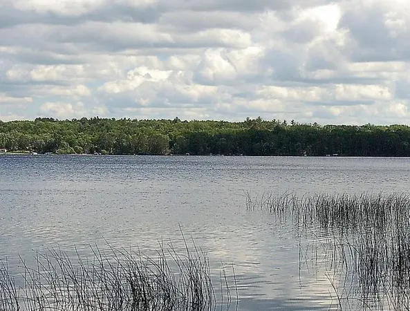 $325,000 | Tbd Rognaldson Road, Brainerd, MN 56401