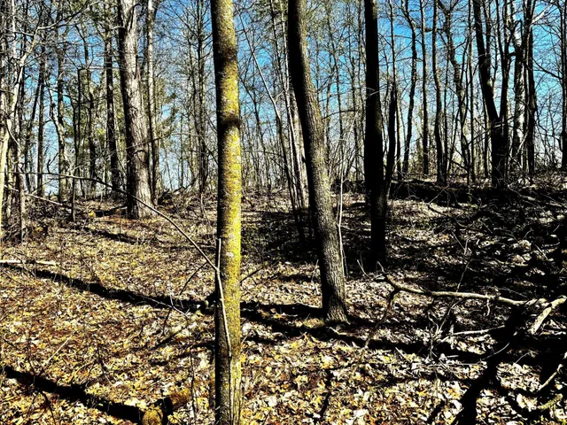 $325,000 | Tbd Rognaldson Road, Brainerd, MN 56401