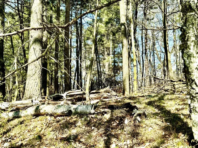 $325,000 | Tbd Rognaldson Road, Brainerd, MN 56401