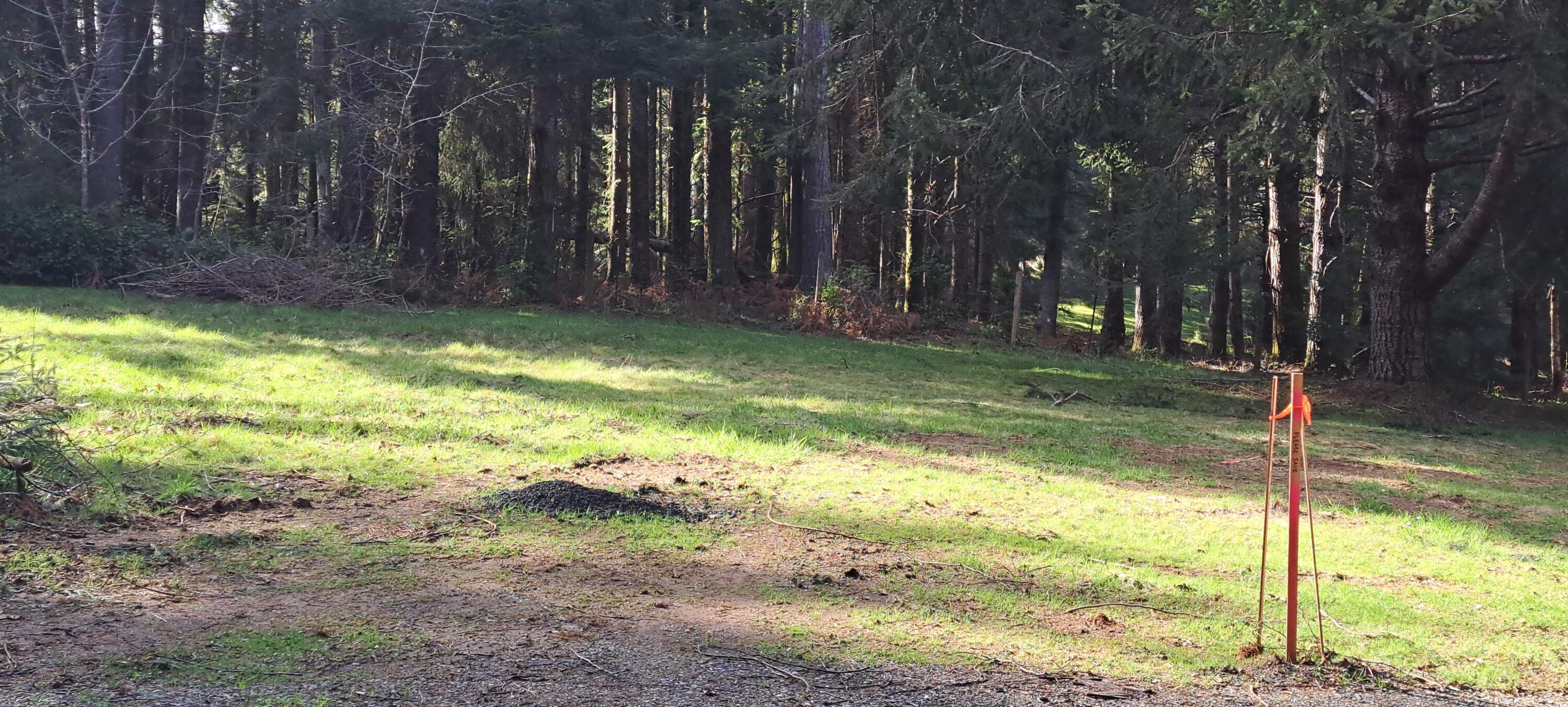 38-parcel Elizabeth Road McKinleyville, CA 95521 - Photo 12 of 16