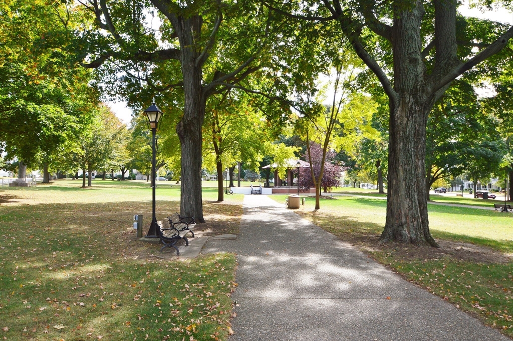 49 Beaver Street, Unit 49 Franklin, MA 02038 - Photo 40 of 46 a view of a tree in a park