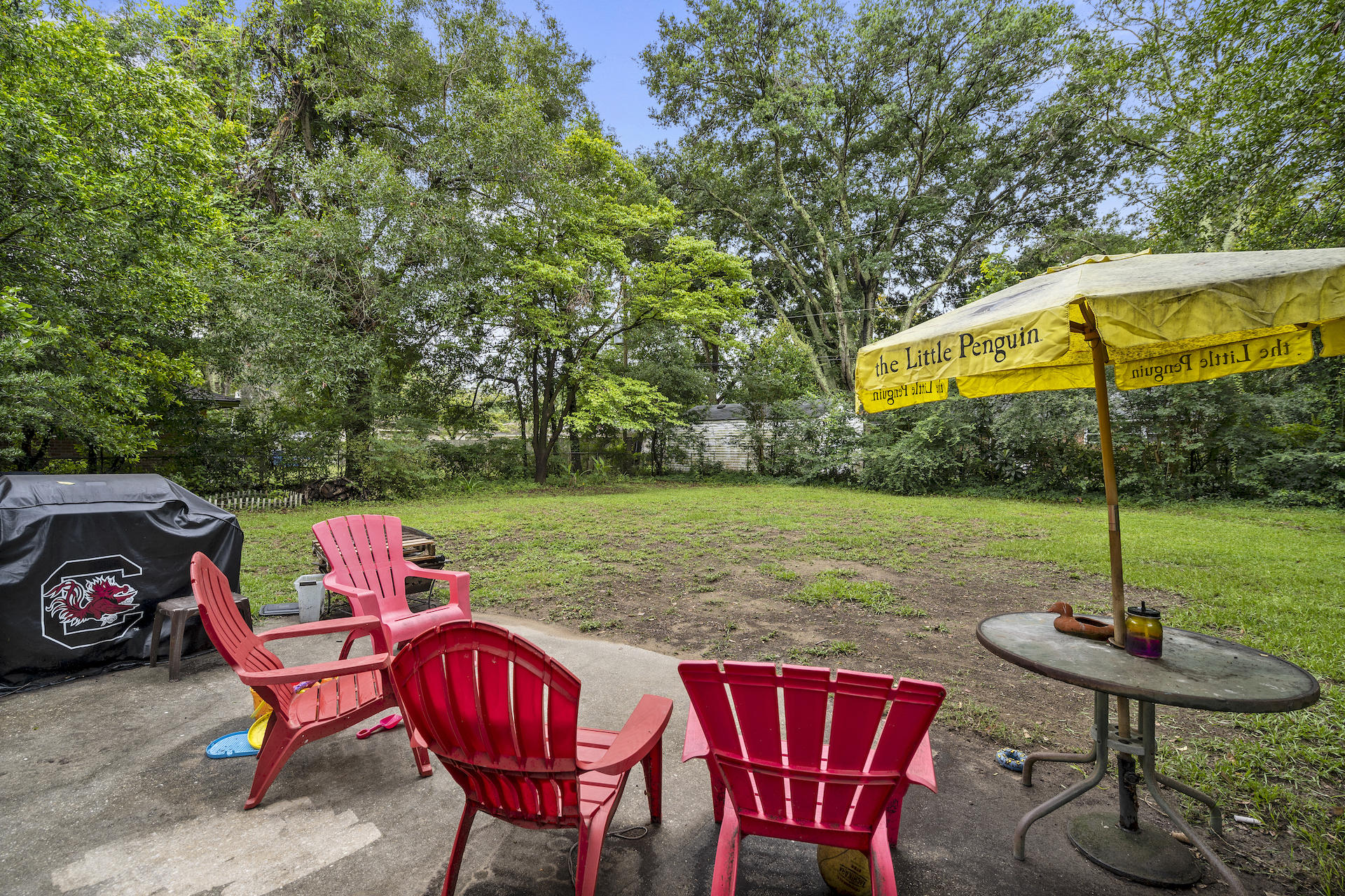 1303 Camp Road Charleston, SC 29412 - Photo 18 of 22 Back Yard