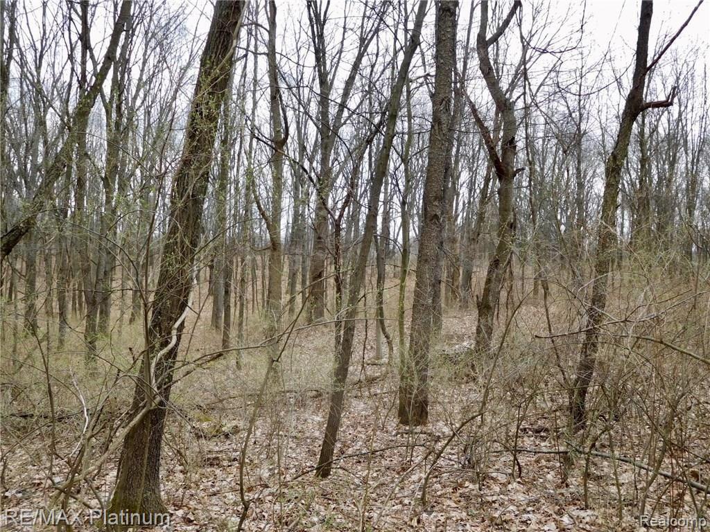 0 West Buno Road Milford, MI 48381 - Photo 20 of 28