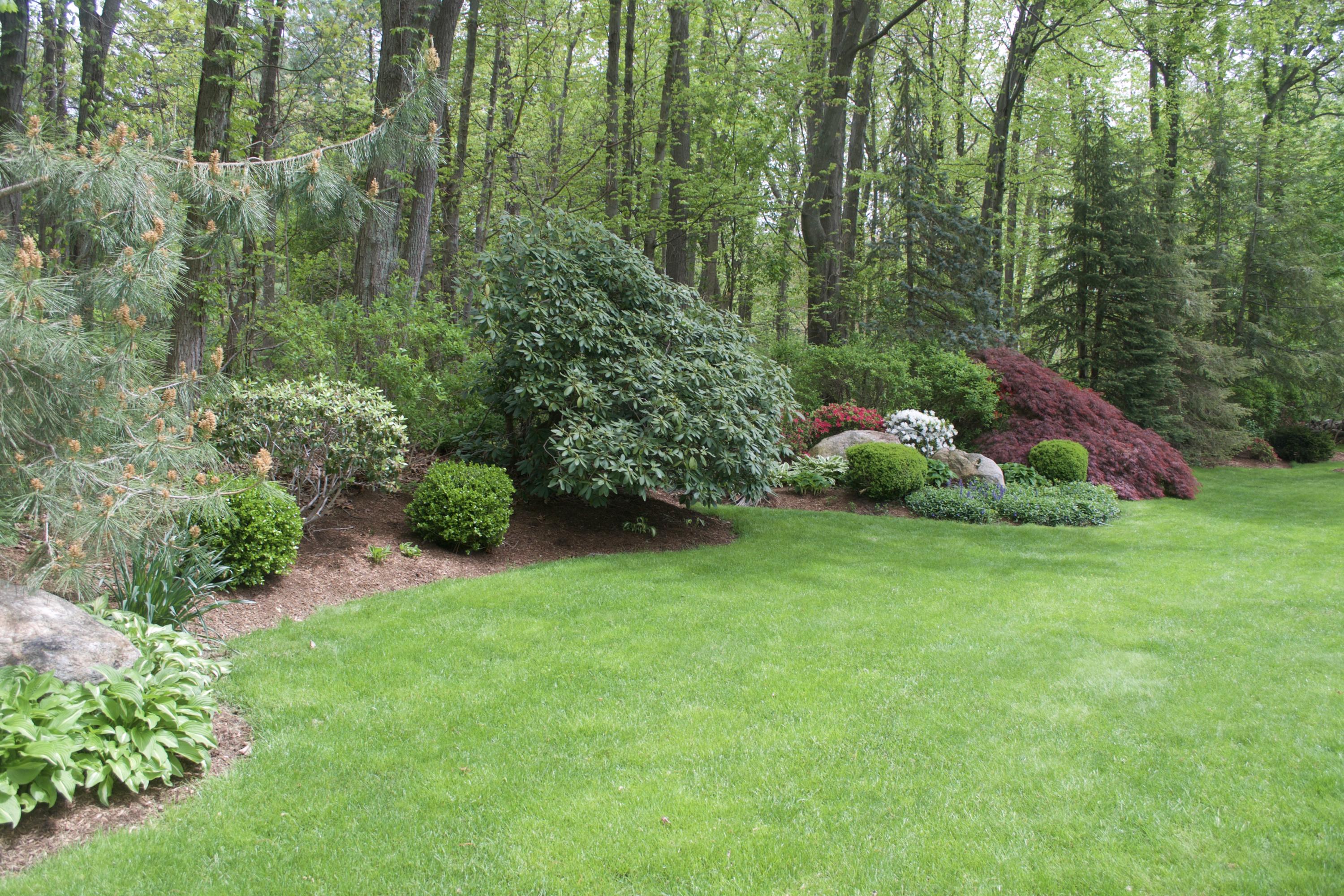 714 Ponus Ridge Road New Canaan, CT 06840 - Photo 50 of 57 a view of a garden with plants and large trees