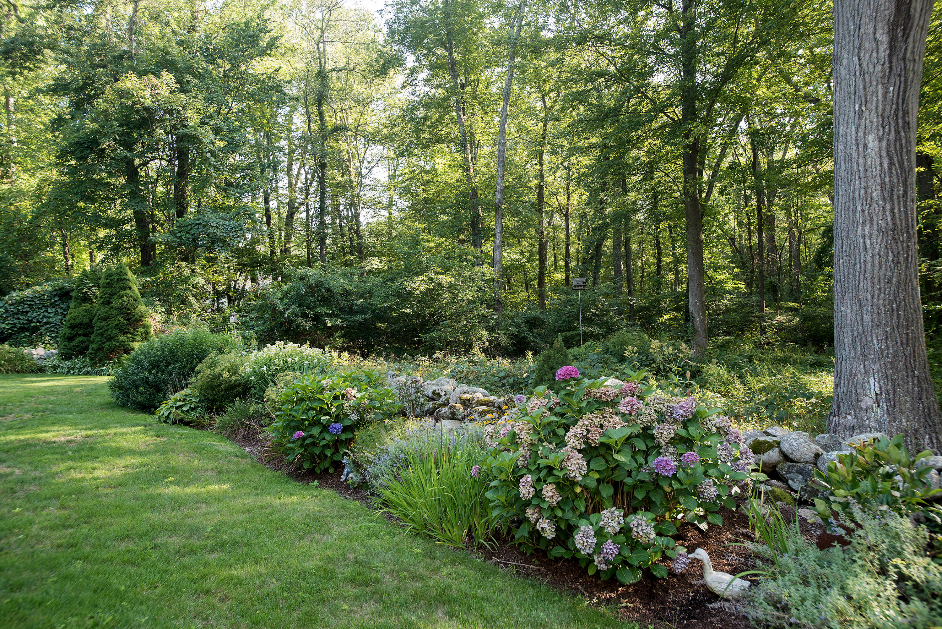 714 Ponus Ridge Road New Canaan, CT 06840 - Photo 54 of 57 a view of a garden with plants