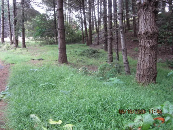 $17,500 | 52 Madrone Road, Shelter Cove, CA 95589