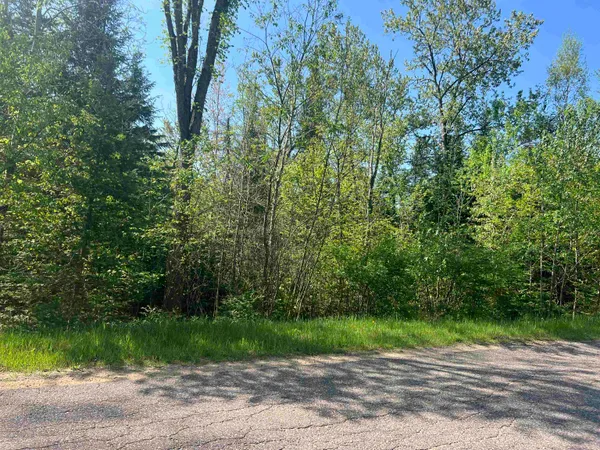 $60,000 | Forest Hill Drive, Townsend, WI 54175