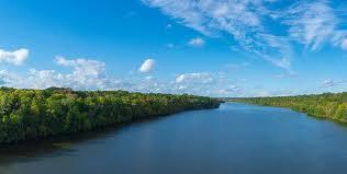 14423 Kingsview Lane North Dayton, MN 55327 - Photo 64 of 72